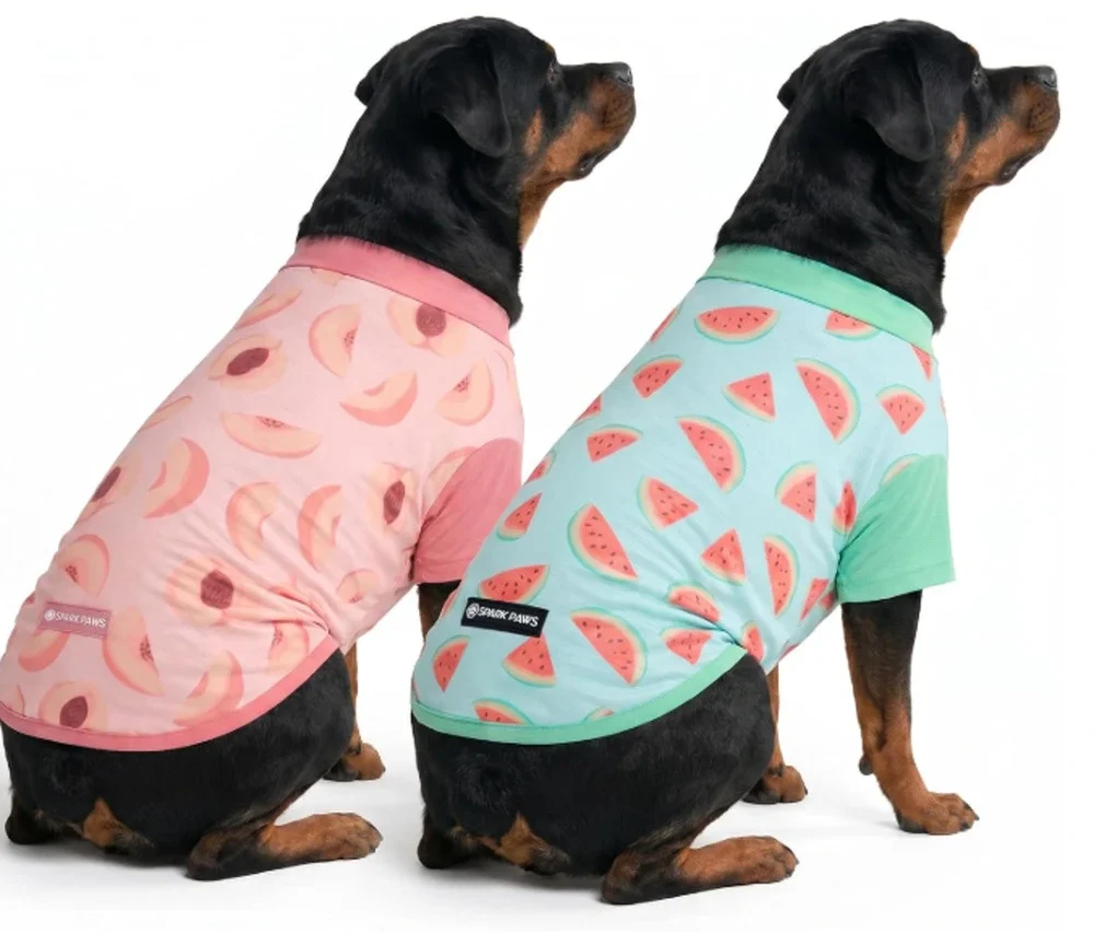 Spark Paws Turquoise and Peach Dog T-Shirt SPF-30 Sunblock Size Med Brand New